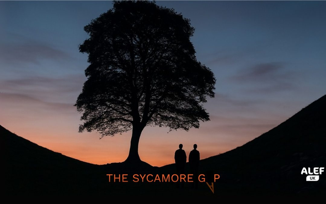 THE SYCAMORE GAP