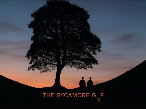THE SYCAMORE GAP